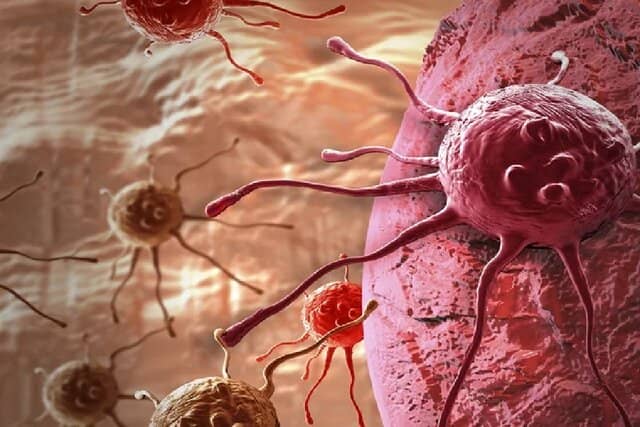 درمان سرطان با هدف گرفتن حافظه سلول‌های تومور!